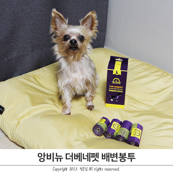 더베네펫 배변봉투로 펫티켓을 지켜요 더베네펫 배변봉투로 펫티켓을 지켜요