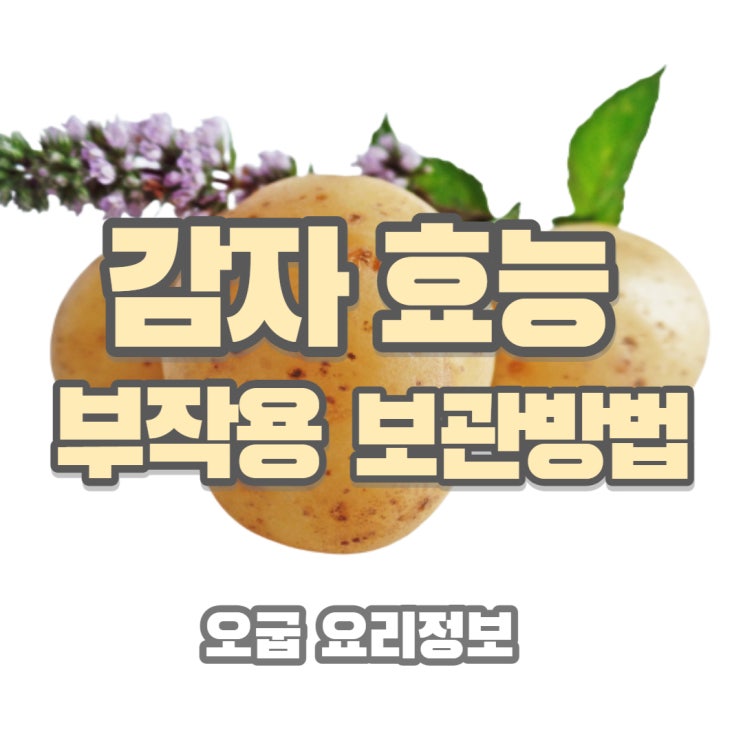  구황작물 감자 효능과 부작용 보관 관리 방법 팁 , 감자빵 감자 베이킹