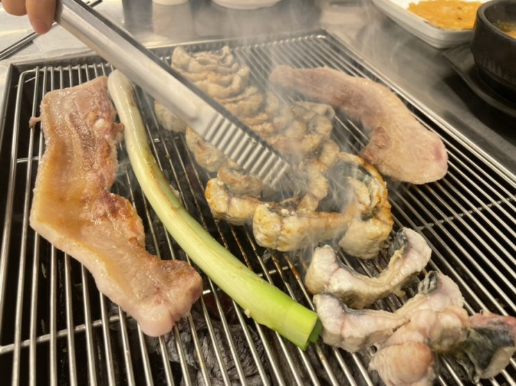  세종 금남면 맛집 세종풍천장어 고기세상 돈우장 다양하게 즐기자