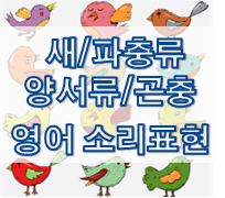  영어 의성어 - 새/파충류/양서류/곤충 영어 소리 표현