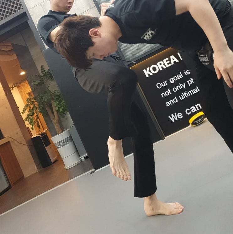  KKM 크라브마가 실전 호신술 배우고 왔어요.