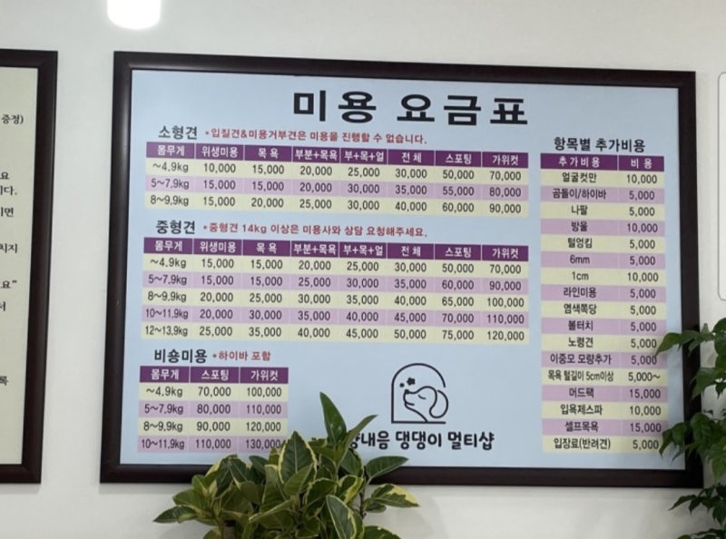 사진 2