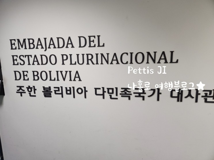 볼리비아 비자 당일 발급, 온라인 신청