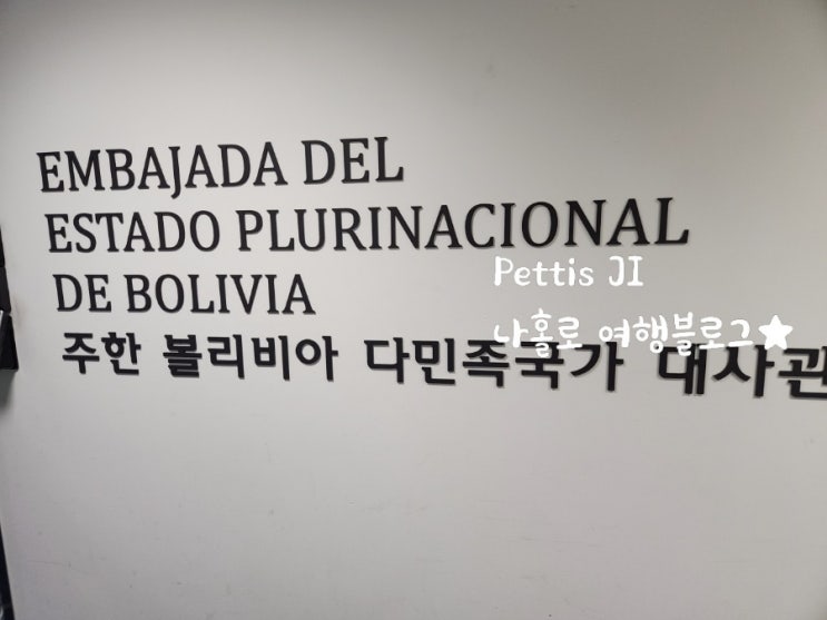  볼리비아 비자 당일 발급, 온라인 신청