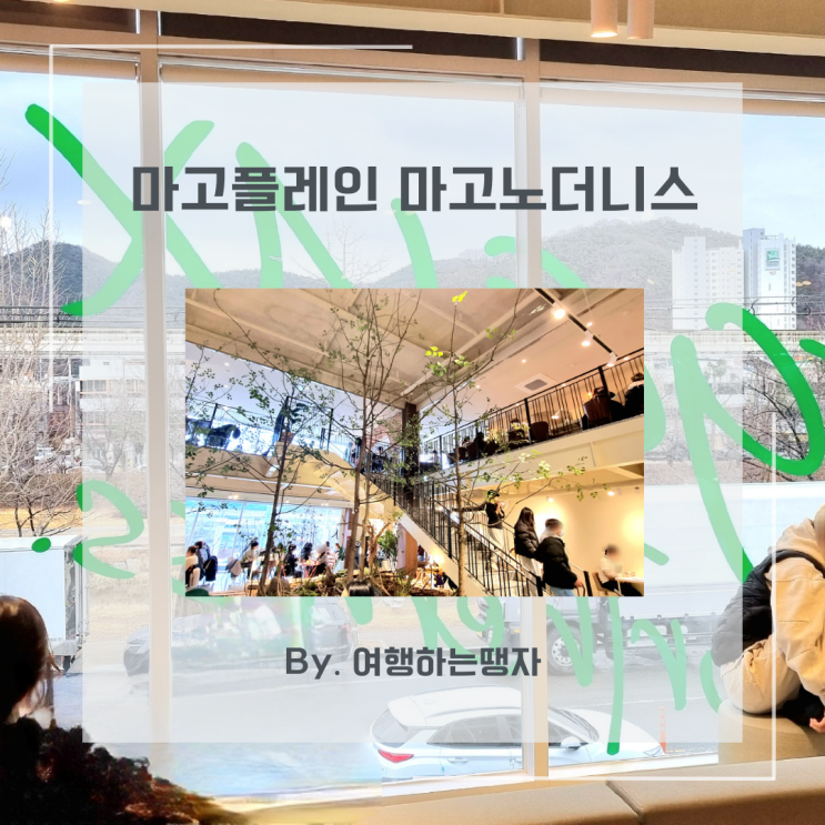  마고노더니스 마고플레인 태전점 대구 칠곡 신상카페 베이커리 대형카페
