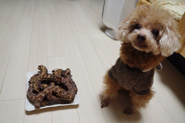 <b>강아지</b> 반려동물 <b>수제간식</b> 추천 '<b>파피앤덕</b>'의 깔끔한 오리목뼈... 