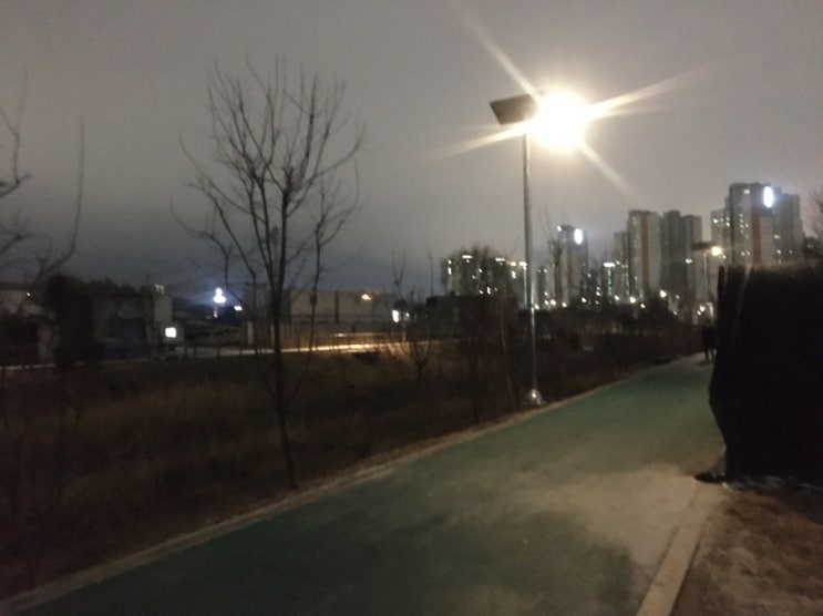  30분 달리기 도전 8주차 -2