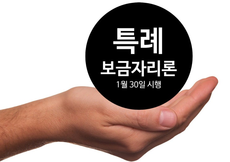 1월 30일 시행, 특례보금자리론 최종판