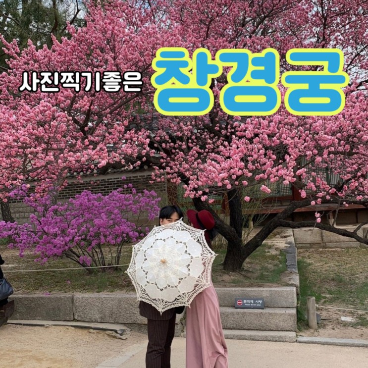 서울 도심 속 한복 입고 산책: 창경궁(+사진찍기 좋은 장소)