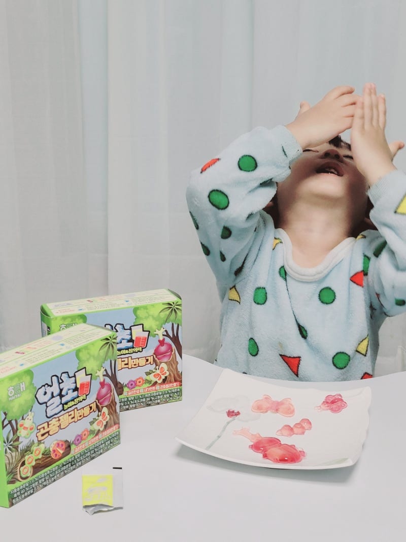 해태 얼초시리즈 숲꾸미기2탄 얼초곤충만들기! 겨울 집콕놀이로 딱! : 네이버 블로그