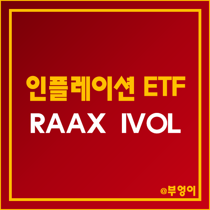 인플레이션 헤지 관련 미국 액티브 ETF - RAAX, IVOL 주가 및 수익률 (물가상승 수혜주 투자 관련주)