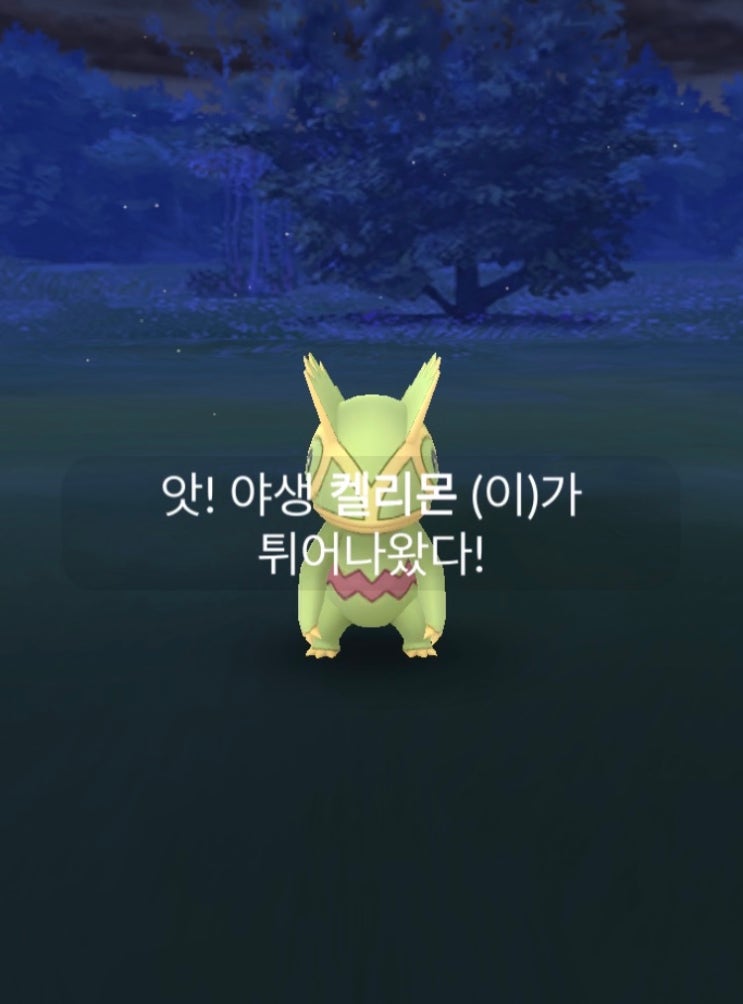  드디어 나도 켈리몬을 잡았다!