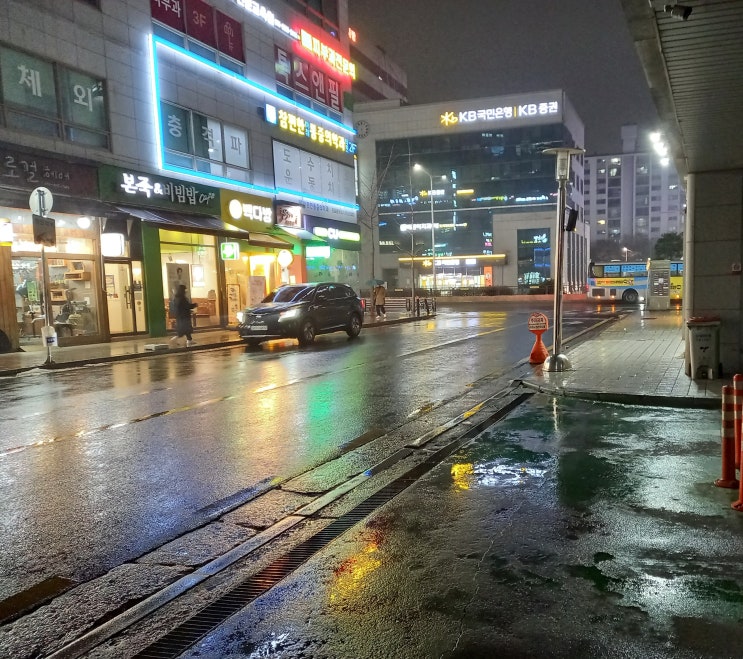  주엽이네 꽃집지기 1월 둘째 주 블챌일기
