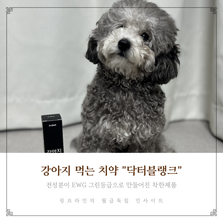 강아지먹는치약 구강관리는 닥터블랭크