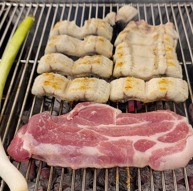  세종 금남면맛집 세종 풍천 장어 후기