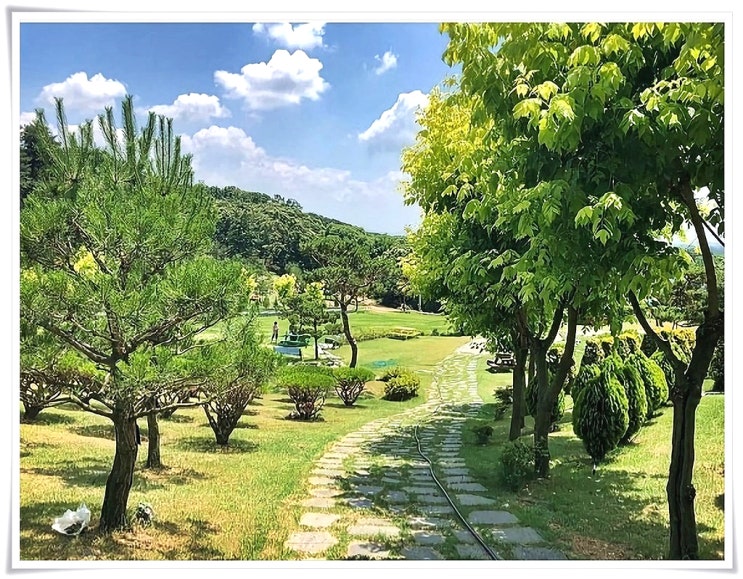  가족수목장 똑똑히 마련하는 팁