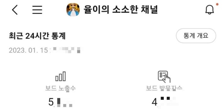  카카오뷰 개설 & 개설 후기