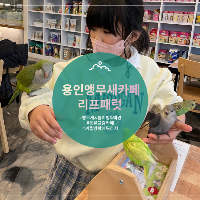  [용인] 앵무새&애견&놀이방이 있는 키즈카페 리프패럿
