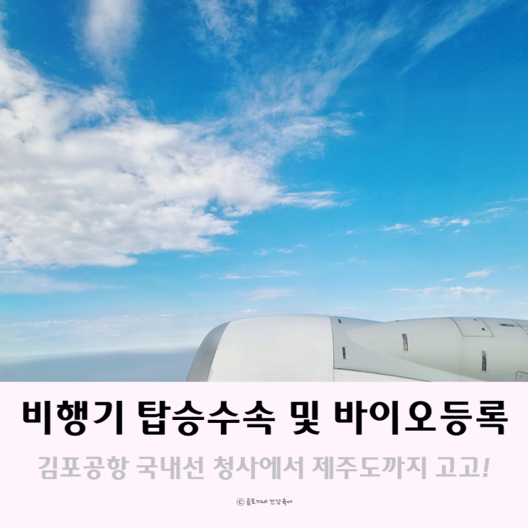 김포공항 국내선 비행기 탑승수속 및 바이오등록 후기