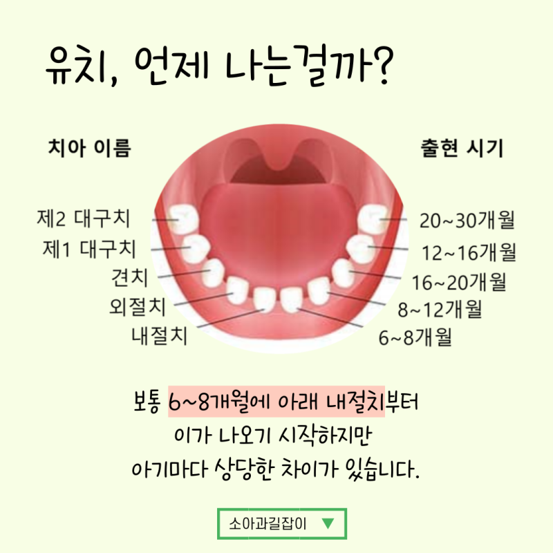 이가 안 나요!!! 아기 치아 나는 시기, 언제까지 기다려도 될까? : 네이버 블로그