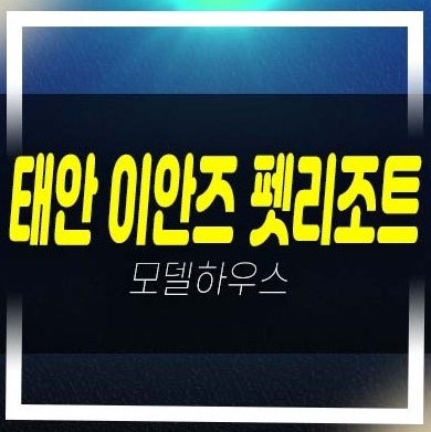  태안 이안즈 펫리조트 천리포해변 호텔 반려견 레지던스 생숙 빌리지동,리조트 분양가 주택전시관 유니트 보기!