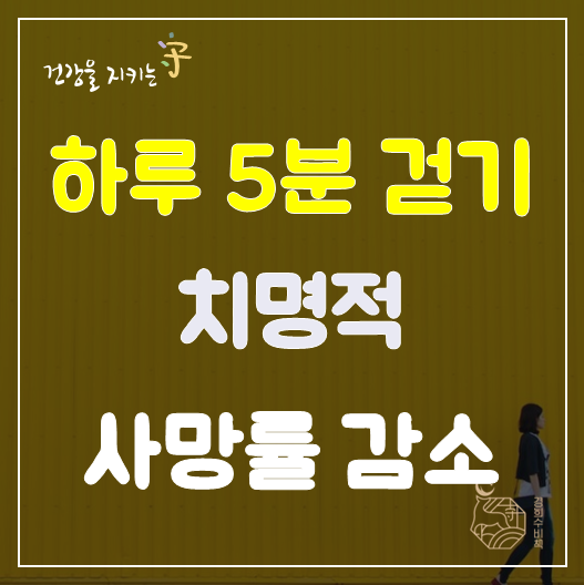  하루 디톡스 해독 제안 하루 5분 걷기, 치명적 사망률 감소   분당 다이어트 한약