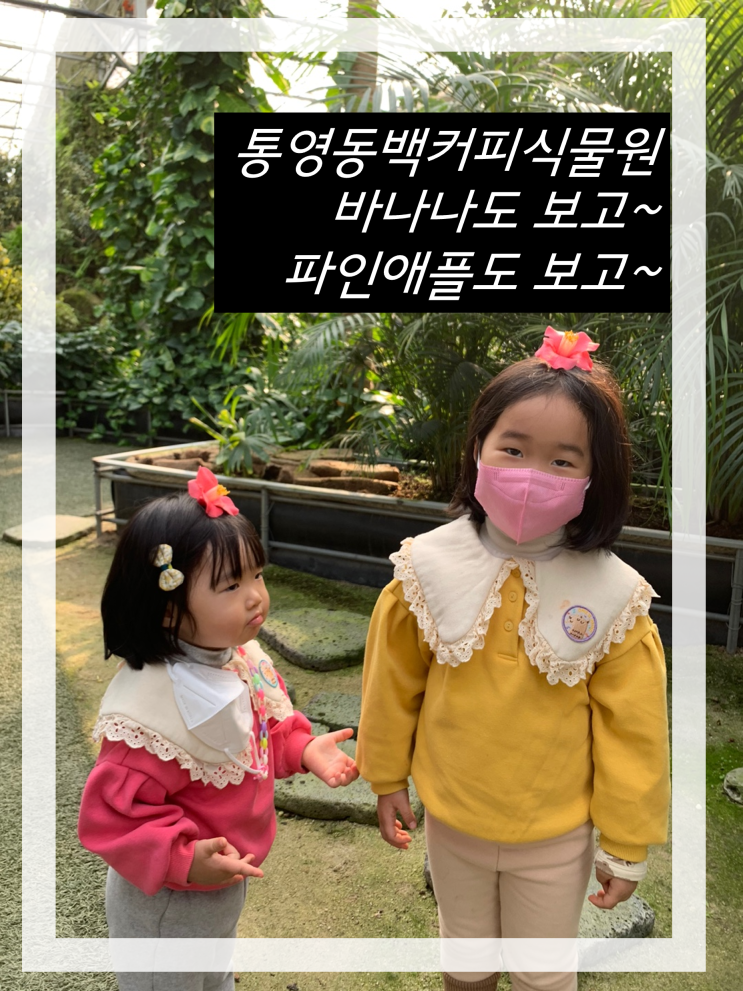  통영동백커피식물원 아이랑 가기 좋은 카페 후기