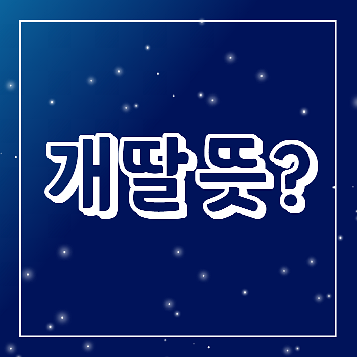  개딸뜻? 의미가 달라졌다는 거, 알고 계셨나요?