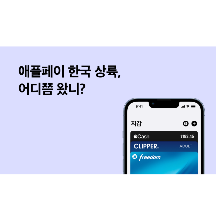  애플페이 한국 도입 늦어지는 이유