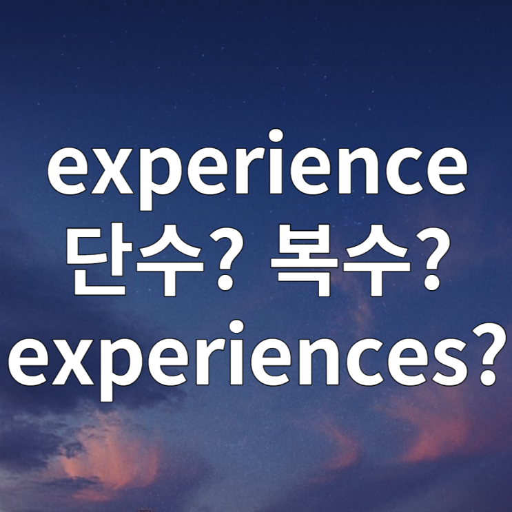 experience, experiences 단수 복수 완벽정리 (feat. 경력, 경험 영어로)