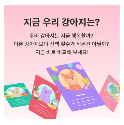  1월 16일 캐시워크 돈버는퀴즈 디어테일 강아지 데이터 정답