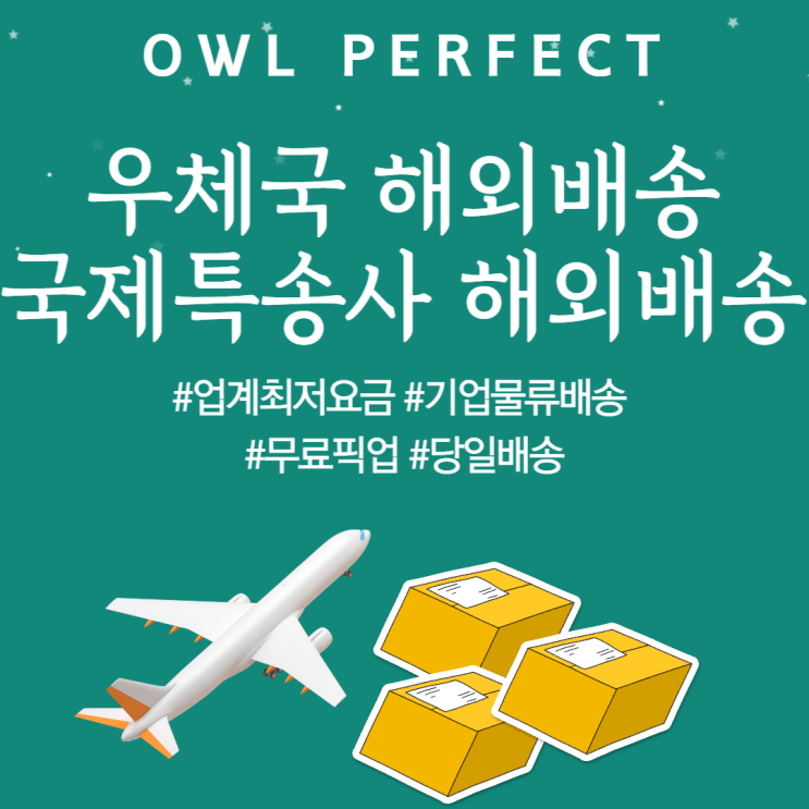  우체국 해외배송, 국제특송사 해외배송
