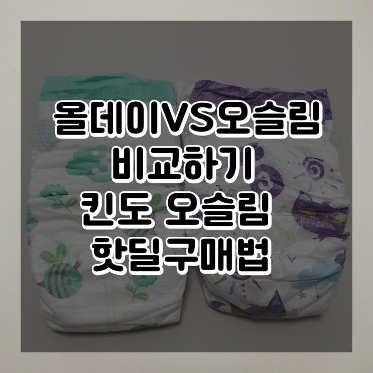  킨도 오슬림vs올데이 비교 내돈내산, 킨도 핫딜정리 및 구매방법