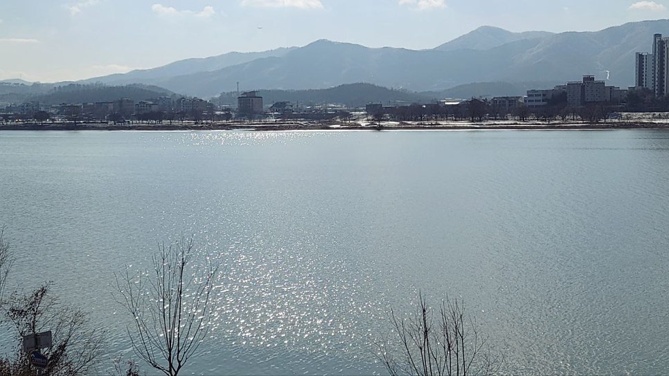 청춘찬가 사진 2