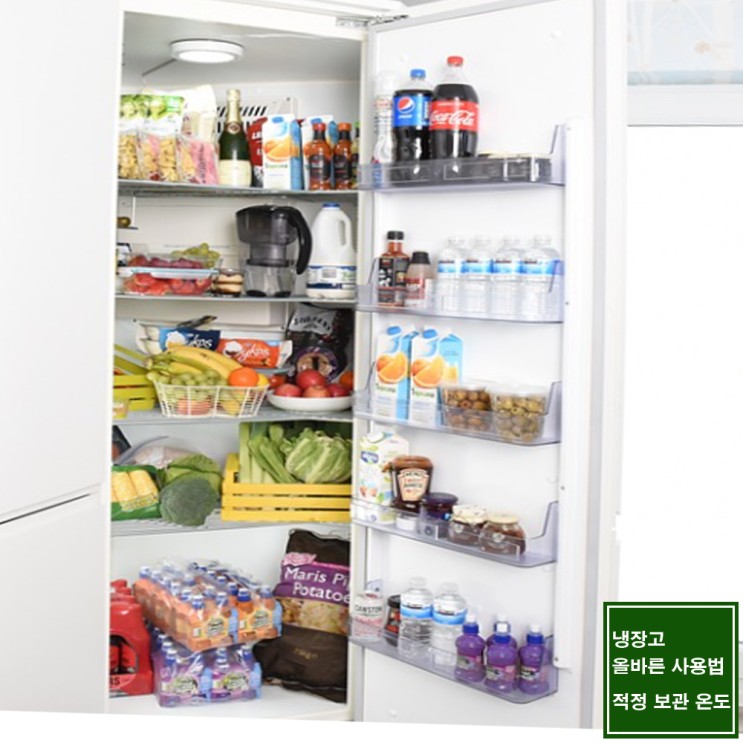 냉장고 사용법, 식품 냉장고 보관 방법