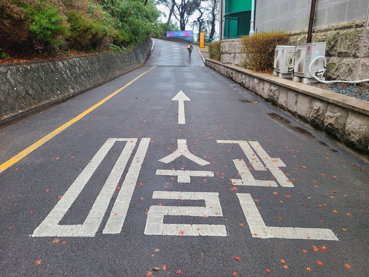  마산 가볼 만한 곳 문신 미술관 바다와 조각과 낭만이 있는 곳