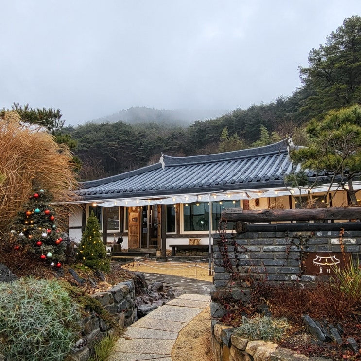  고양이가 있는 양산 법기수원지 감성 카페, 도라지