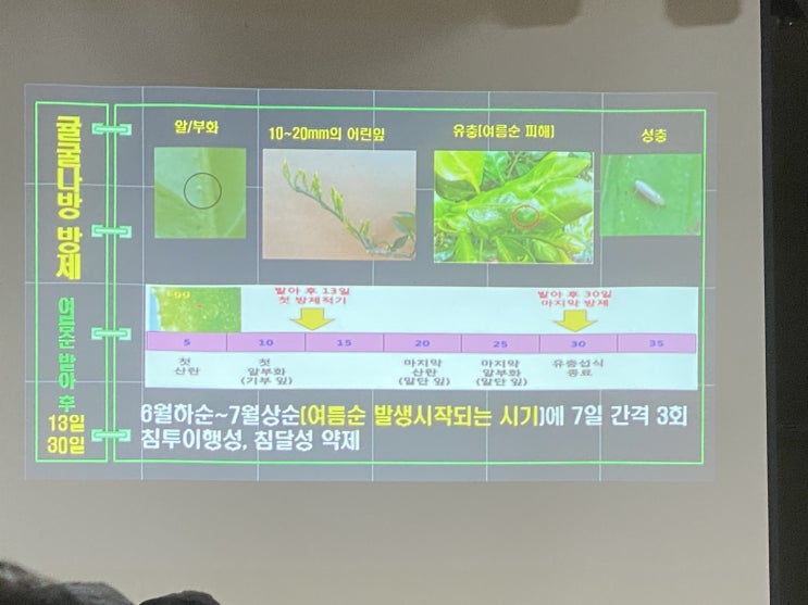 2023 새해 농업인 실용교육 표선면 가시리사무소 2023 새해 농업인 실용교육 표선면 가시리사무소