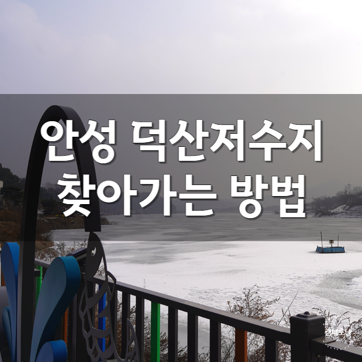  안성시 덕산저수지 찾아가는 방법(주소)과 주차, 낚시터와 산책길 겨울 풍경