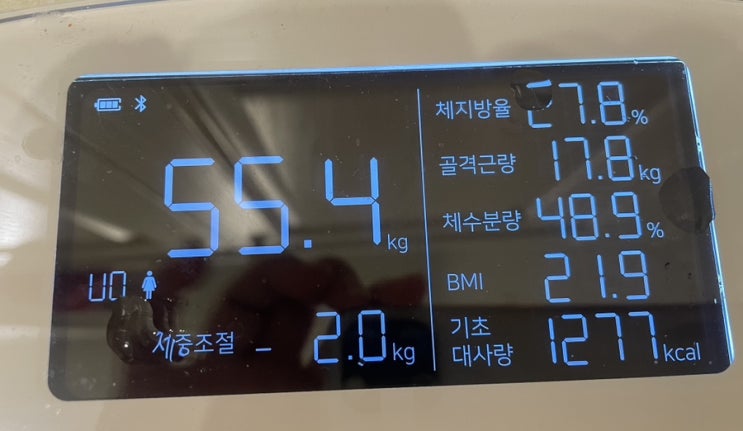  다이어트 10일