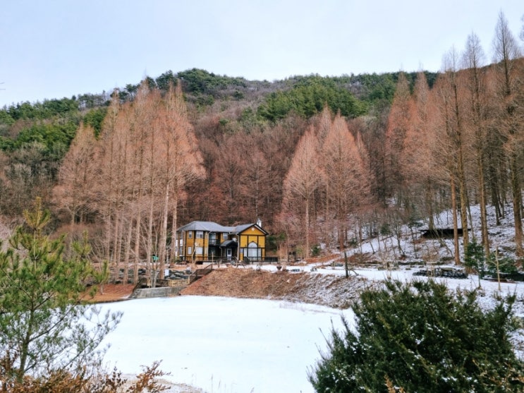  논산 온빛자연휴양림