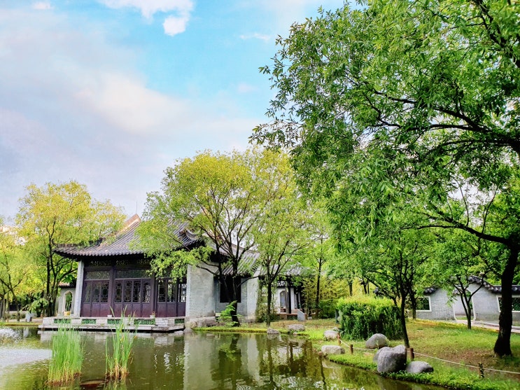  수원 인계동 수도권 근교 여행 데이트 코스 효원공원 (월화원)