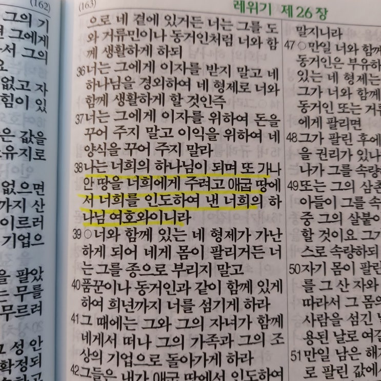 113 - 습관 마스터