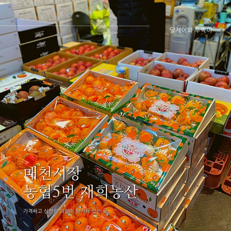  대구 매천시장 과일 농협5번 재희농산에서 어린이집 설날선물 과일선물세트로 준비했어요 : 매천시장 설기간 무료주차 가능