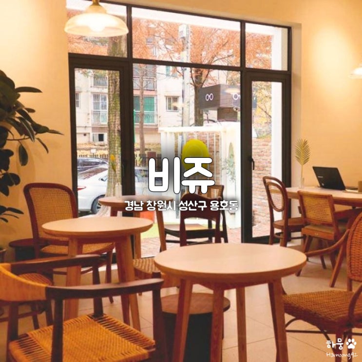  창원 용호동 창원대 인근 가로수길 소개팅맛집 카페 비쥬