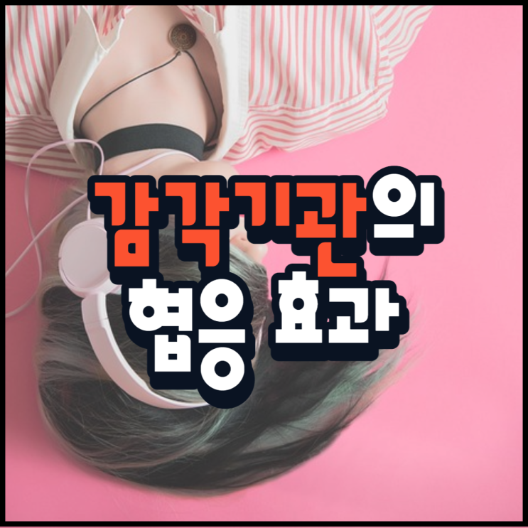  감각기관의 협응 효과 뜻 의미 생활 적용 방법!