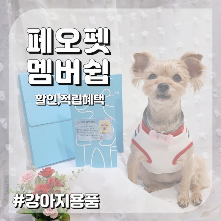  강아지 등록 페오펫 멤버십으로 애견용품 할인까지