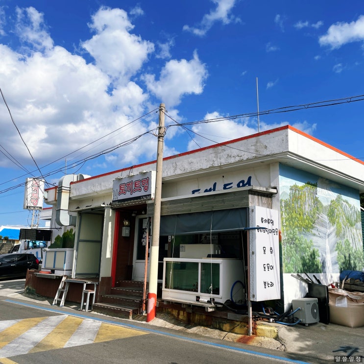  토끼트멍 : 벨진밧 추천 무늬오징어 맛집