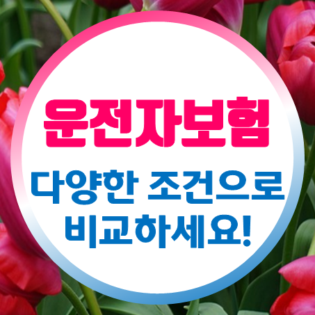  운전자보험 환급 나이 80세만기 운전자보험으로 설정해도 괜찮을까?