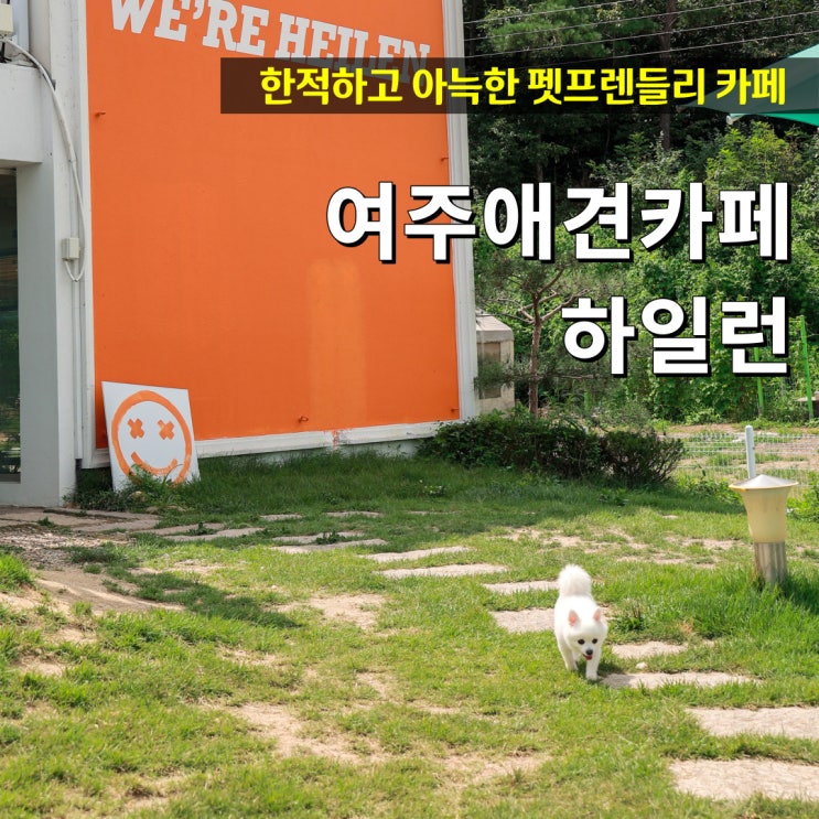  아늑한 여주 애견카페 하일런 반려견을 위한 노키즈존